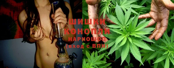 спайс Арсеньев