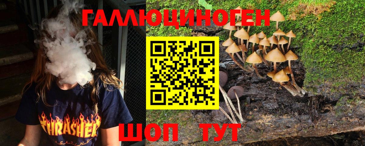 Псилоцибиновые грибы MAGIC MUSHROOMS  Галлюциногенные грибы прущие грибы  Тихвин  Вход с VPN 