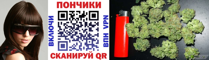 kraken Тихвин Бошки Шишки OG Kush